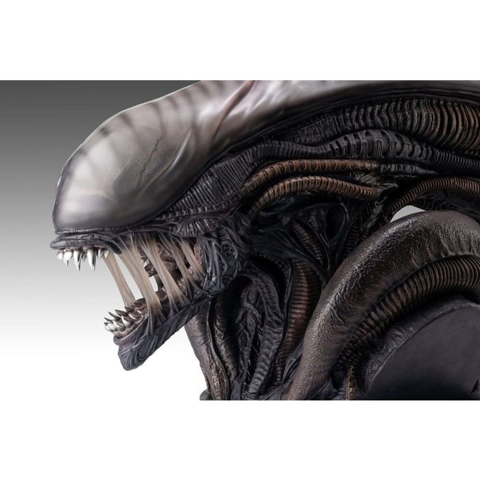 Alien Romulus Bust 1/1 Xenomorph 53 cm