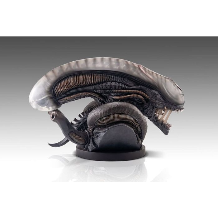 Alien Romulus Bust 1/1 Xenomorph 53 cm
